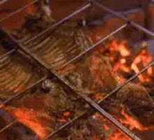 Sheep Running in the Shop