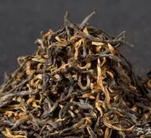 Golden Monkey Eyebrow