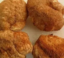 Monkey Head Mushroom