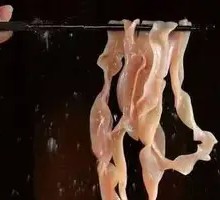 Premium Fresh Duck Intestine