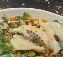 Spring Water Tilapia