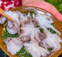 Deep-Sea Octopus