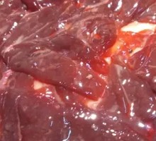 Beef Liver