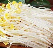 Mung Bean Sprouts