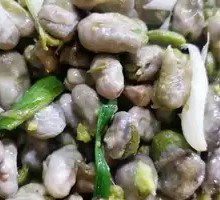Stir-fried Garlic Shoots with Broad Beans