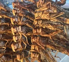 Spicy Locusts