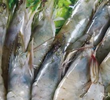 Taste of Fresh Shrimp