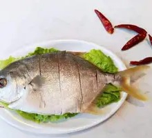 Flower-patterned Golden Carp