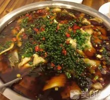 Green Pepper Grass Carp