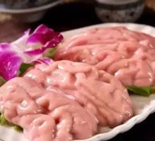Fresh Brain Tissue