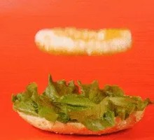 Bacon Egg Chinese Burger