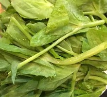 Pea Shoots