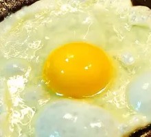 Fried Egg