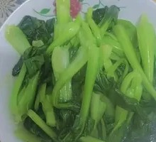 Stir-Fried Baby Bok Choy