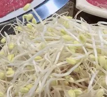 Bean sprouts