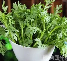 Chinese chrysanthemum greens