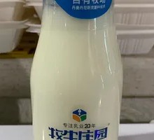 Pasture Yogurt