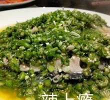 Fragrant Carp