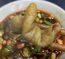 Pork Intestines