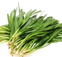 Leek