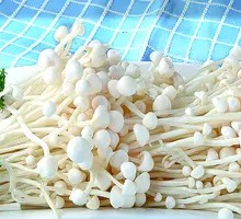 Enoki Mushroom