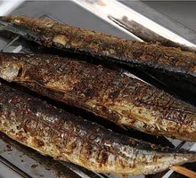 Sardine