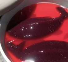 Koi Fresh Duck Blood
