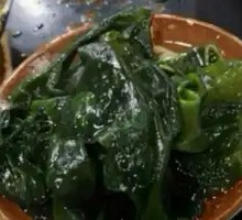 Sea lettuce