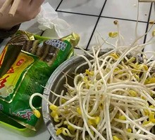 Well Water Bean Sprouts