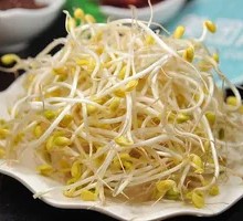 Bean sprouts