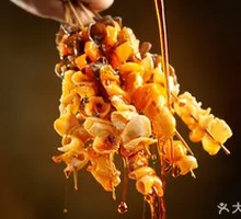 Cold-Mixed Frog Stomach
