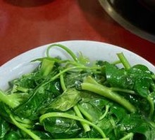 Water spinach