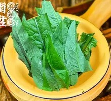 Oilseed lettuce