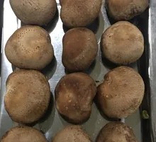Shiitake Mushroom