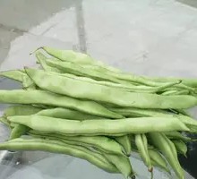 Green Beans