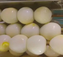 Quail Egg
