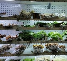 Sichuan Skewers