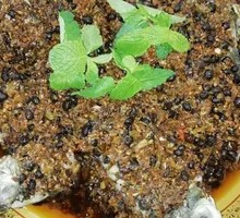Steamed Fish with Fermented Black Beans