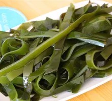 Kelp