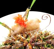 Spicy Roasted Grasshoppers