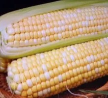 Stir-Fried Corn with Meat