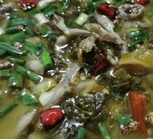 Sour Cabbage Frog
