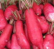 Red Pickled Radish