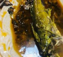 Yellow Croaker