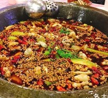 Frog Meal