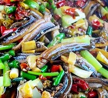 Earth Eel