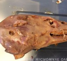 Signature Duck Head