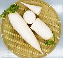White Radish