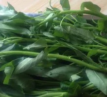 Water Spinach