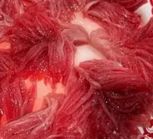 Fresh Junghua Stir-fry